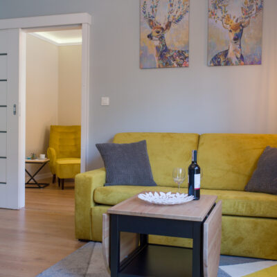 salon_Apartament_cicha270319 (5)