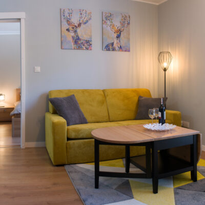 salon_Apartament_cicha270319 (9)